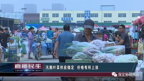 保定汛期蔬菜水果市場(chǎng)動(dòng)態(tài) 葉菜供應(yīng)穩(wěn)定價(jià)漲，大蔥批發(fā)價(jià)回歸一元時(shí)代