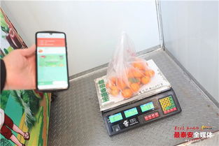 泰安首座24小時(shí)智能無人果蔬店落地泮河社區(qū)，新鮮水果零售開啟智慧新篇章