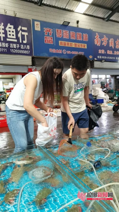 蔬菜市場零售均價(jià)環(huán)比下降，新鮮水果與梭子蟹齊上市，品味秋日第一口鮮