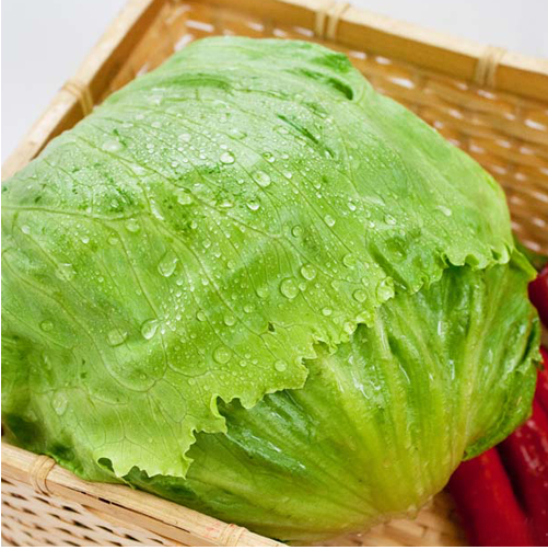 圓生菜零售價(jià)飆升 菜販與消費(fèi)者同承重壓