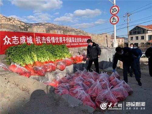 共克時艱 青島商務在行動 以“豐菜足果”溫暖城市居民生活