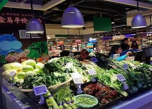 盒馬又出 鮮 招 盒馬菜市 首家店落戶上海